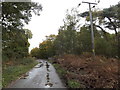 TM4571 : Road in Dunwich Forest & footpath by Geographer