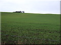 Farmland off the A92