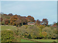 House on Selborne Hill