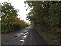 TM4671 : Lane in Dunwich Forest by Geographer