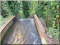 Old mill race for Brandescombe Mill