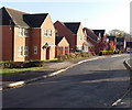 Viaduct Way houses, Bassaleg