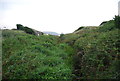 By the Pembrokeshire Coast Path