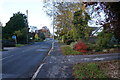 Tranby Lane towards Swanland