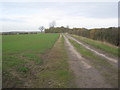 SK9194 : Farm track to the site of Fox Covert Farm by Jonathan Thacker