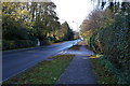 Tranby Lane near Todds Close, Swanland