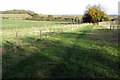 Footpath to Thrift Wood