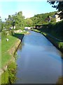 Canal at Govilon