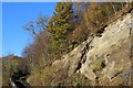 Rock Outcrop & Track to Braehead, Lugar