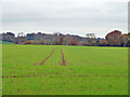 Field north of Brislands Lane