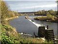 The River Clyde at Carmyle