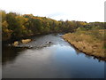 The River Clyde