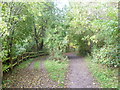 Paths in Vinters Valley Nature Reserve