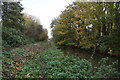 River Foss towards New Earswick