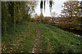 River Foss alongside Huntington Road, York