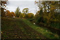 The River Foss towards Haxby Road, York