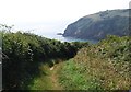SS0897 : Pembrokeshire Coastal Path by N Chadwick