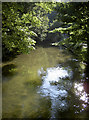 The Avon under Cranebridge