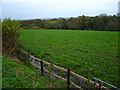 Grazing fields east of Vron Farm