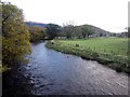 NY2523 : Looking downstream from Portinscale Suspension Bridge by Graham Robson