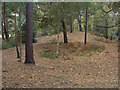 Tumulus, Reigate Heath