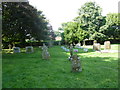 St. Stephen, Bettiscombe: churchyard (3)