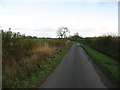 NY4334 : The lane to Ellonby by David Purchase