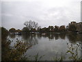 The River Thames at Kingston