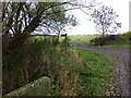 Footpath to Causey Park Bridge