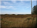 Farmland near Brigg