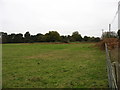 TL8299 : Farmland near Bodney by David Purchase