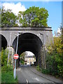 Railway Arch, Mill Brow/Broadbottom (1)