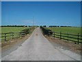 Farm access lane leading off Main Road, Portavogie