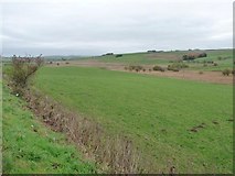 SH9150 : The lowest farmland at Glasfryn by Christine Johnstone
