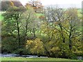 The River Merddwr, west of Pentrefoelas