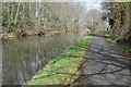 Monmouthshire and Brecon Canal