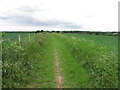 View NW along track towards Flounden End Farm near Botley