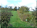 Bridleway to Tigwell Farm