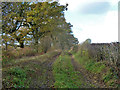 Track to Upper Bordean Farm