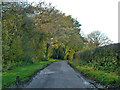 Lane towards the A272