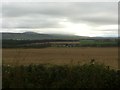 Field by the A76 looking towards Cample