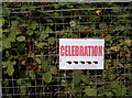 Celebration this way