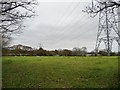 Sheep pasture under the power lines