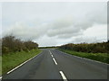 Bend in the A478 near Glandy Cross