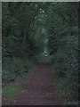 On Paston Way - View NE along disused railway track bed, N of N Walsham