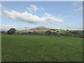 View to the Skirrid / Ysgyryd Fawr