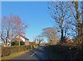 Autumn colours, Whin Lane