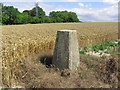 Trig point at Mount Pleasant, Denton, Newhaven