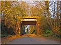 Railway bridge: Welsh Hook