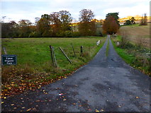 SU8214 : Access road to Upton Farm by Shazz
